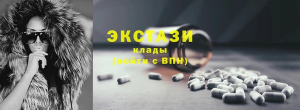 гидра Богородицк