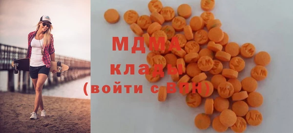 гидра Богородицк
