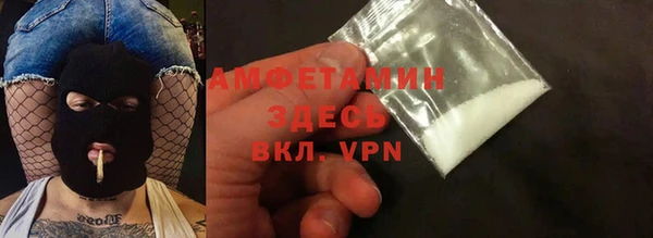 гидра Богородицк