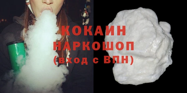 гидра Богородицк