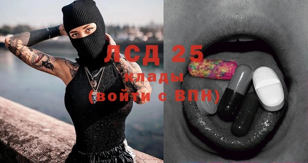 стафф Богданович