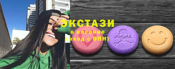 гидра Богородицк