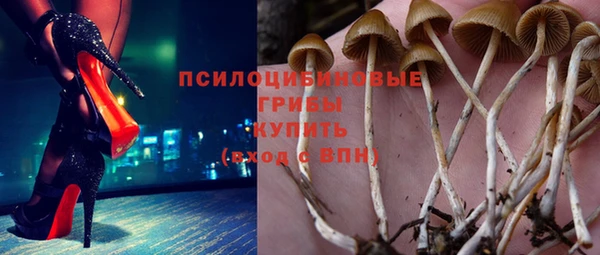 прущая мука Богородск