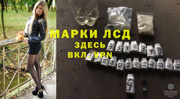 гидра Богородицк