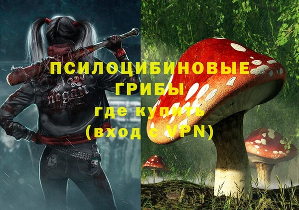 дурь Бородино